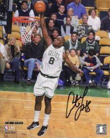 Antoine Walker Signed Boston Celtics Dunking Action 8x10 Photo